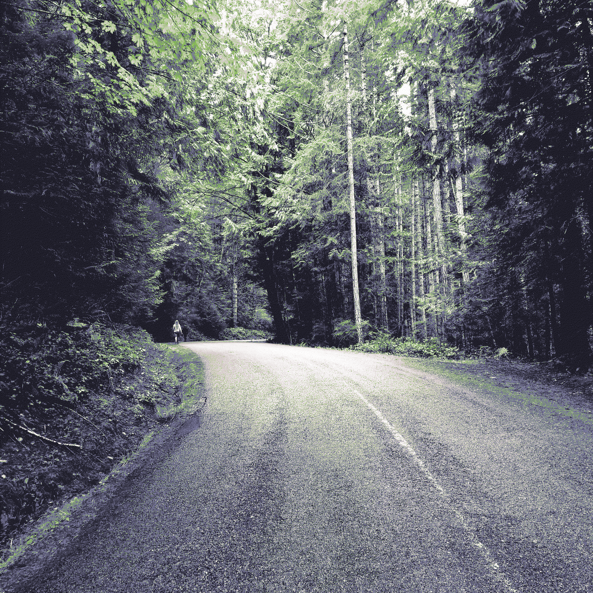 Arty dithered photograph of a runner on a misty road in the forest.